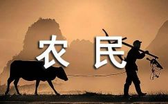 庆祝中国农民丰收节宣传标语（精选205句）