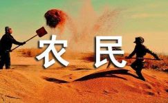 中国农民丰收节的宣传横幅标语
