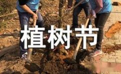 【荐】植树节宣传标语10篇