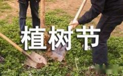 学校植树节活动宣传广告标语摘抄