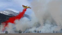 2017新年预防森林火灾标语条幅