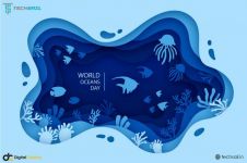 最新世界海洋日关于保护海洋的标语