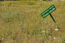 禁止践踏草坪安全标语