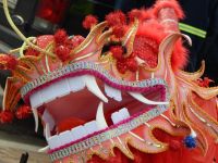 国际节日与中国传统节日标语