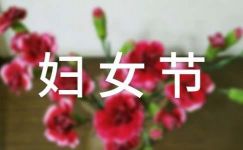 三八妇女节宣传标语【热门】