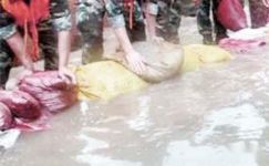 部队抗洪救灾宣传标语