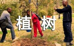植树造林宣传标语【热门】