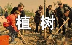 【荐】植树造林宣传标语