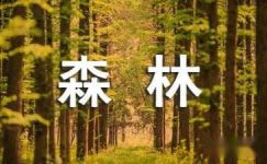 2016年保护森林的宣传横幅标语