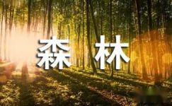 世界森林日森林活动宣传标语大纲