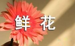 情人节鲜花广告标语2018