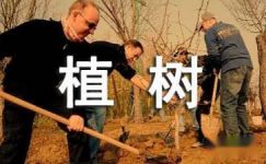 2017年植树造林活动宣传标语100条