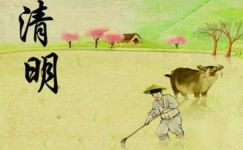 清明节文明祭扫横幅标语2017