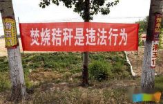 农村禁止焚烧秸秆横幅标语大纲