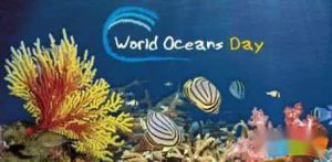 世界海洋日保护海洋宣传标语