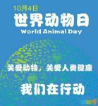 保护动物的宣传标语（世界动物日）