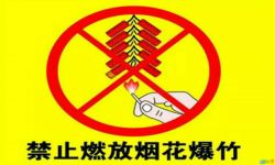 年春节禁鞭宣传标语