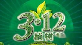 3月12日植树节宣传标语